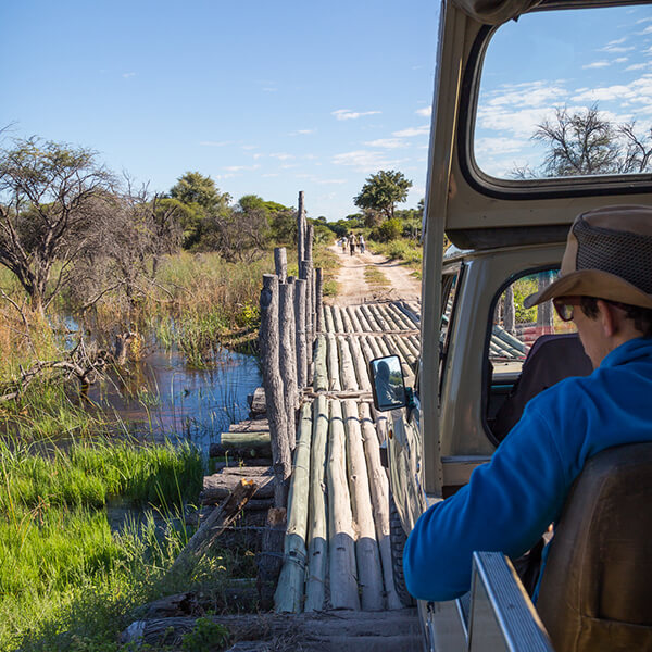 Pirschfahrt Botswana Safari