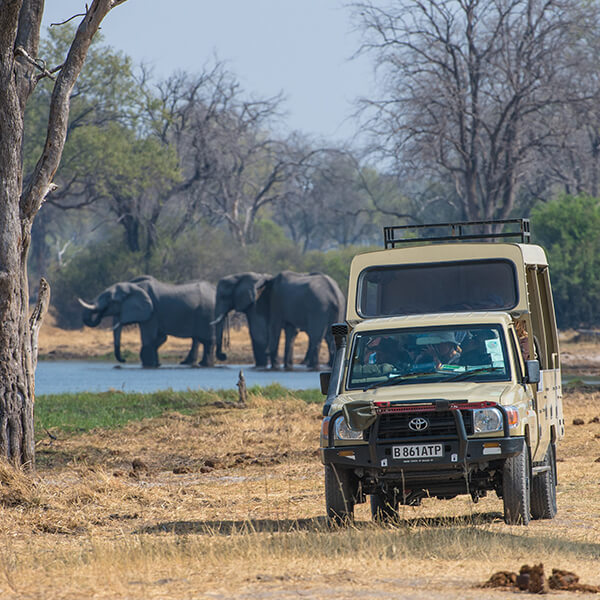 afrika-safari-reise-pirschfahrt